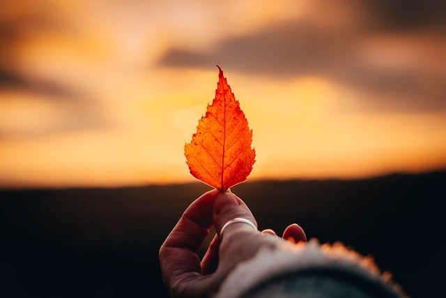 人工智能的最新发展趋势及未来展望2025