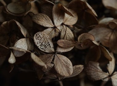 智创聚合API新用户即刻体验Claude Opus 4.1