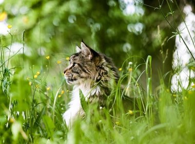 人工智能与大数据:双剑合璧的终极指南