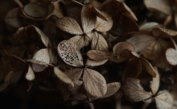 DeepSeek “蒸馏” 技术启发全球 AI 公司,打造更亲民模型