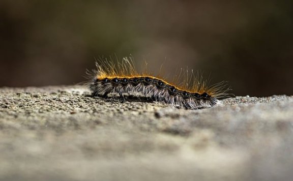 斯坦福大学 AI 心理监测突破:手机使用习惯预测抑郁准确率达 91%