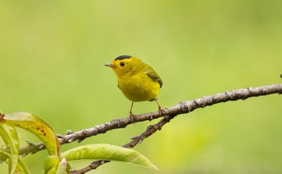 龙坤智创以智狐AI-MAX为核心驱动企业数字化转型与AI生态构建