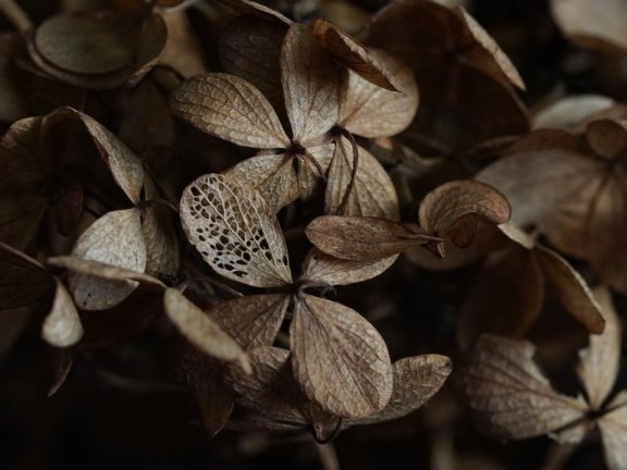 人工智能驱动的未来家居：智能化生活新篇章